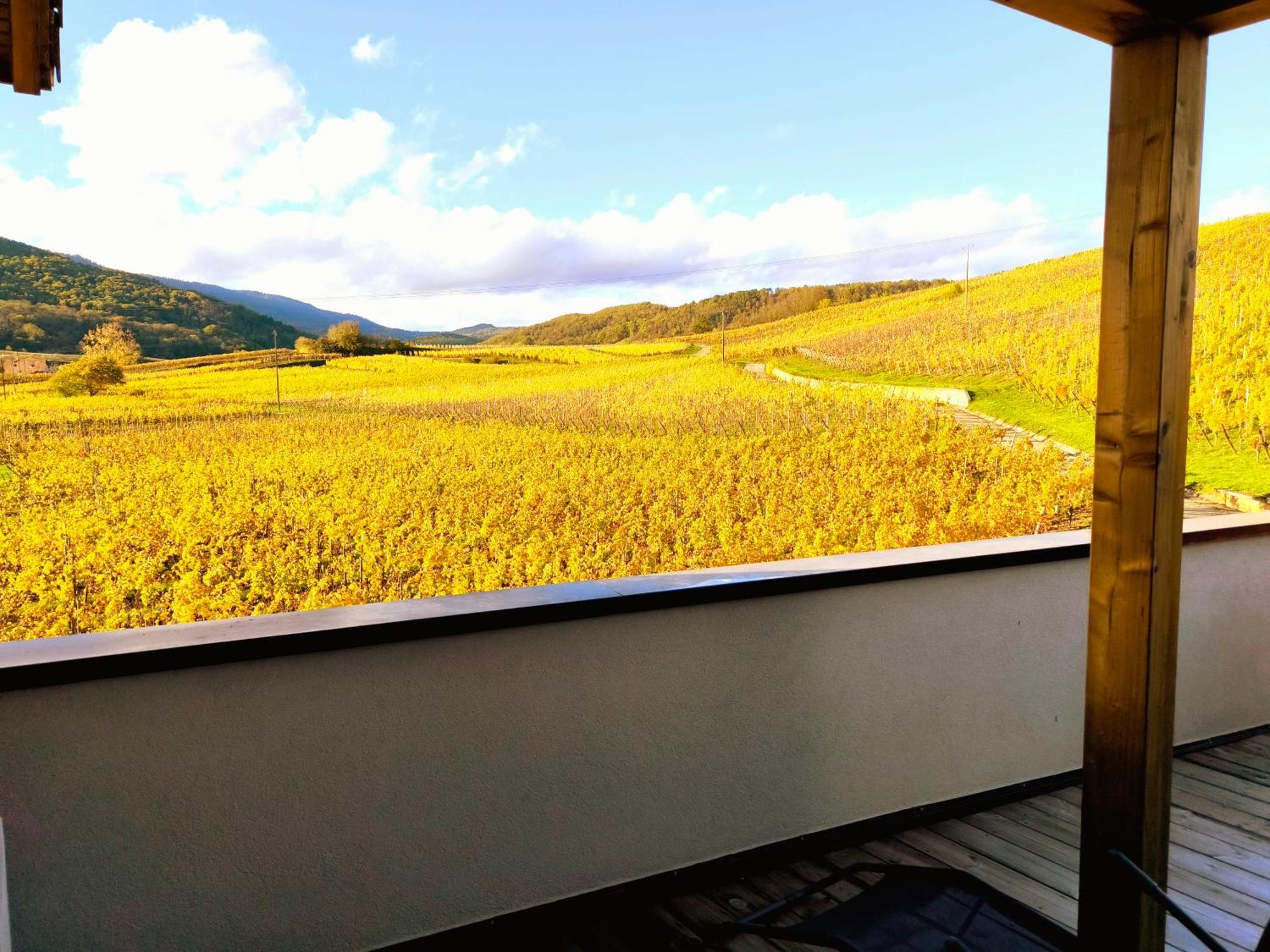 L'Horizon Apartman Bergheim Kültér fotó